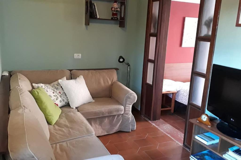 Apartamento Tranquilo En Una Casa Con Jardin サン・クリストバル・デ・ラ・ラグーナ エクステリア 写真