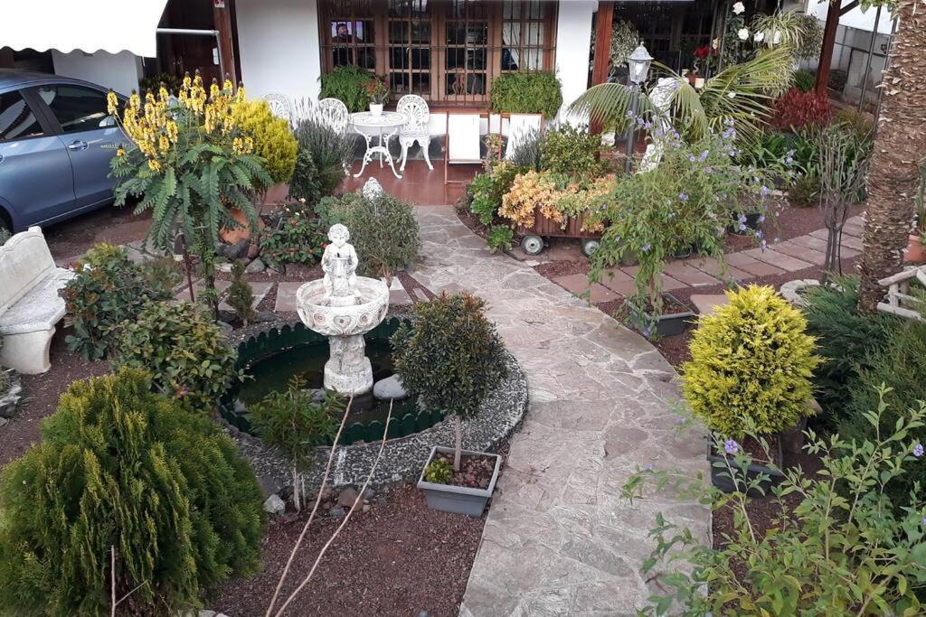 Apartamento Tranquilo En Una Casa Con Jardin サン・クリストバル・デ・ラ・ラグーナ エクステリア 写真